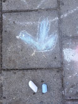 Zomerkampen 2026 16
